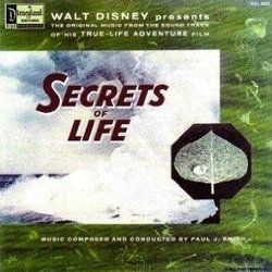 Secrets of Life Soundtrack (Paul J. Smith) - CD cover