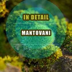 In Detail - Mantovani Soundtrack (Mantovani & His Orchestra, Various Artists) - CD-Cover