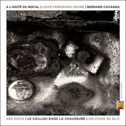   l'agit du bocal / Un caillou dans la chaussure Colonna sonora (Bernard Cavanna) - Copertina del CD