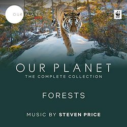 Our Planet: Forests Bande Originale (Steven Price) - Pochettes de CD