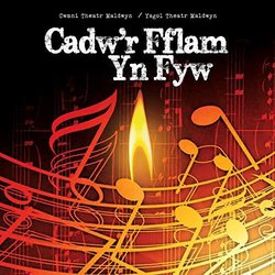 Cadw'r Fflam Yn Fyw Soundtrack (Penri Roberts) - CD cover