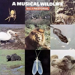 A Musical Wildlife, Vol. 1: Pastoral Soundtrack (John Fox, Sam Sklair) - CD cover