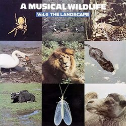 A Musical Wildlife, Vol. 6: The Landscape Colonna sonora (John Fox, Alfi Kabiljo, Rob Pronk, Otto Sieben, Marcel Tardieu) - Copertina del CD