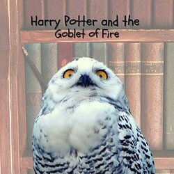 Harry Potter and the Goblet of Fire - Piano Themes Trilha sonora (Patrick Doyle	, Yoko Miro) - capa de CD