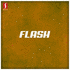 Flash (2007)
