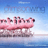 Crimson Wing: Mystery of the Flamingos, The (2009)
