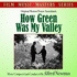 How Green Was My Valley (2013)