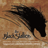 Black Stallion, The (2009)