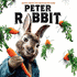 Peter Rabbit: Promise You (2018)
