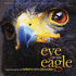 Eye of the Eagle (2012)