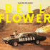 Bellflower (2015)