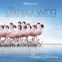 Crimson Wing: Mystery of the Flamingos, The (2020)