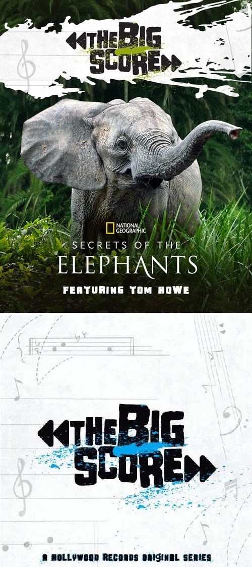 The Big Score :Secrets of the Elephants (Tom Howe)